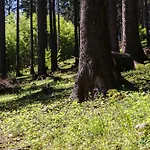 New - Fox Hrabovo Apartment, Malino Brdo, Bike & Apartmán Ruzomberok