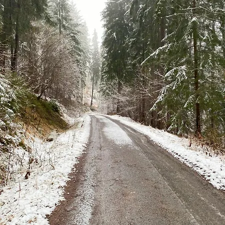 Daire New - Fox Hrabovo Apartment, Malino Brdo, Bike & Ruzomberok