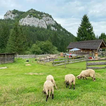 Апартаменты New - Fox Hrabovo Apartment, Malino Brdo, Bike &