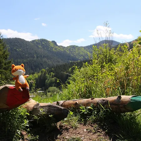 Fox Hrabovo *
