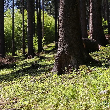 New - Fox Hrabovo Apartment, Malino Brdo, Bike & Appartement Ruzomberok