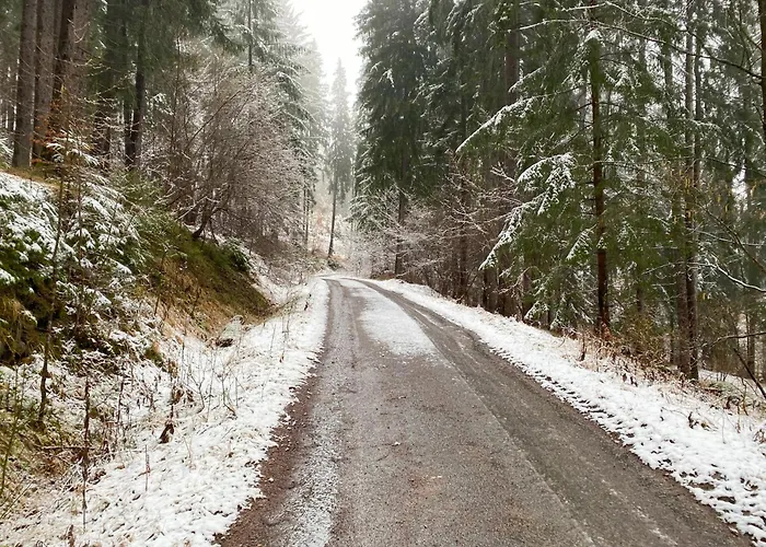 Lejlighed New - Fox Hrabovo Apartment, Malino Brdo, Bike & Ruzomberok