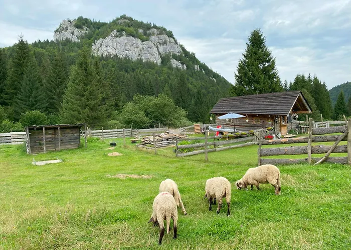 Lejlighed New - Fox Hrabovo Apartment, Malino Brdo, Bike &