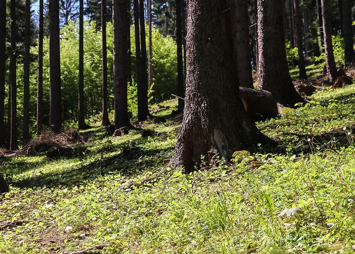 New - Fox Hrabovo Apartment, Malino Brdo, Bike & Lejlighed Ruzomberok