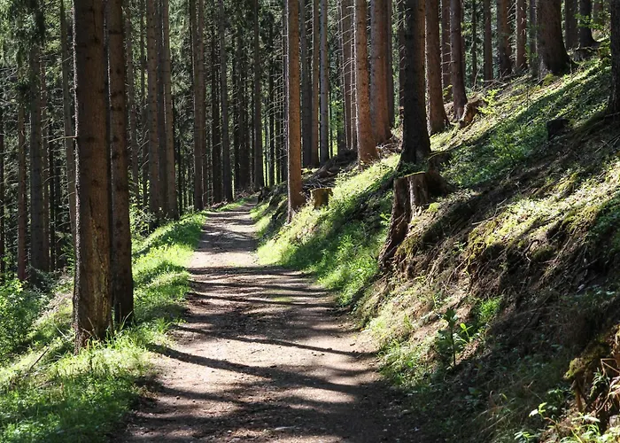 New - Fox Hrabovo Apartment, Malino Brdo, Bike & Lejlighed